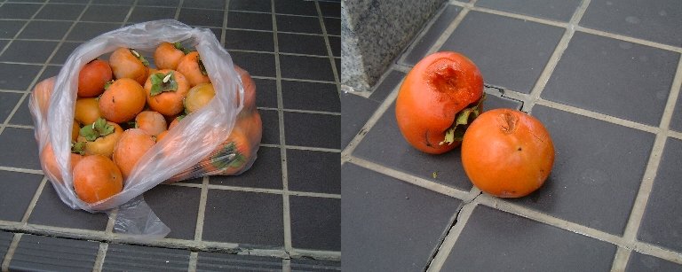 Kaki