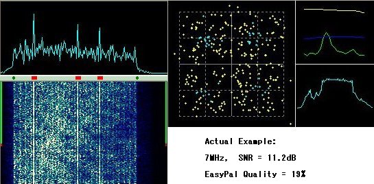 DigTRX_Sampl-31