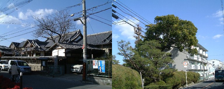 Walking-07