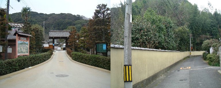 Walking-10