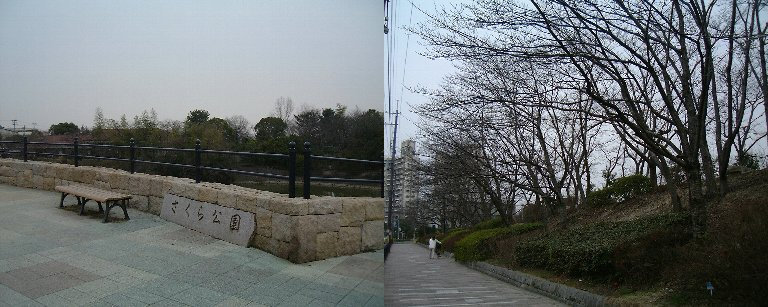 Walking-20