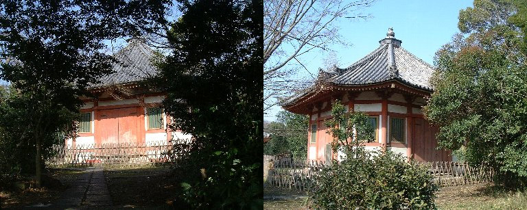 Walking-05
