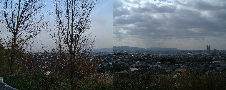 Walking-02