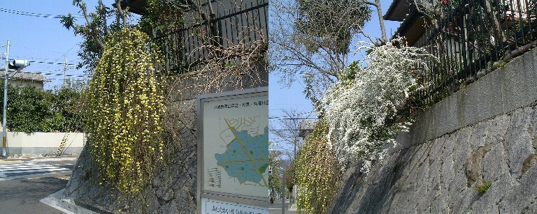 Walking-23