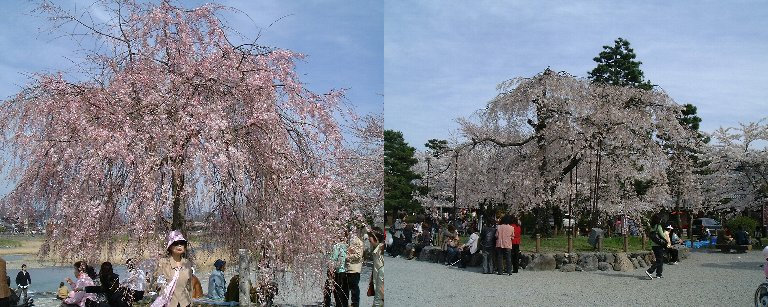 Arashiyama-3